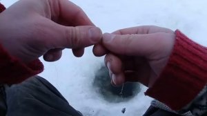 Зимняя рыбалка. Лещ. Подводная съемка.