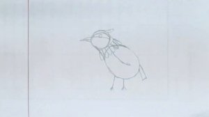 How to draw a bird / A stylish bird step by step