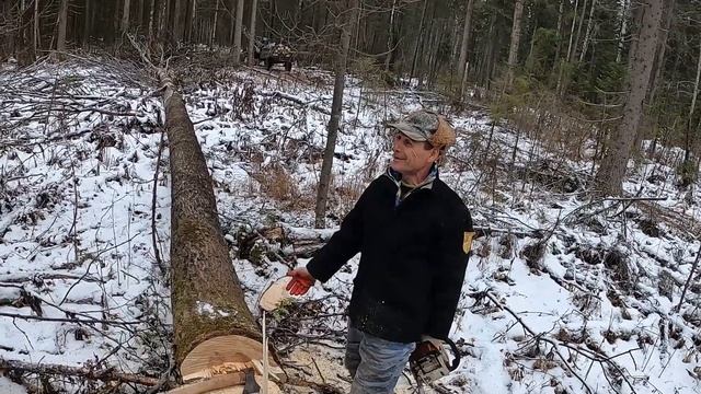 ЗАГОТОВКА ДРОВ В ЛЕСУ. ЖИЗНЬ В ДЕРЕВНЕ. ГАЗ УЖЕ БЛИЗКО. ТРАКТОР Т40. СОРОКОВКА. смотреть онлайн