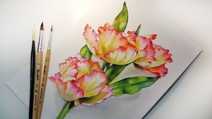 🌷Тюльпаны АКВАРЕЛЬЮ // Tulips IN WATERCOLOR🌷