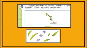 Окружающий мир 1 класс Что общего у разных растений? страница 12-13
