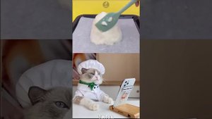 Cats make food 2022 "That Little Puff" Tiktok Compilation #17