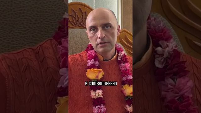 Как выглядит преданность?