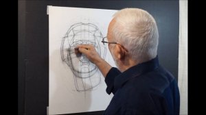 Конструктивный рисунок гипсовой головы в фас