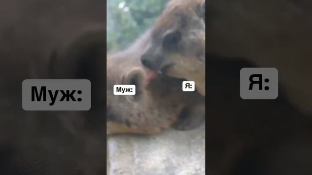Когда достала мужа