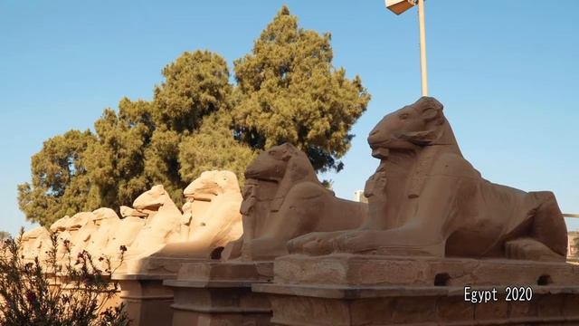 Egypt 2020