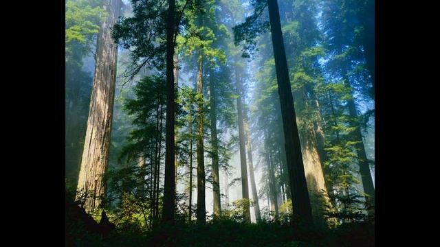 FSC-пятница 2014 в гимназии №44 г. Твери смотреть онлайн