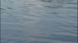 утопленник