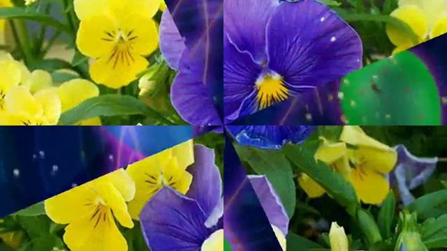 С днем рождения Наталья!!!.wmv смотреть онлайн