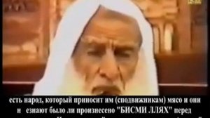 82) шейх Усаймин «Можно ли употреблять мясо зарезанное людьми писания в Америке?