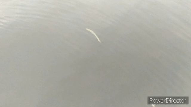 ч.2 Первый поход на катере ФРАМ смотреть онлайн