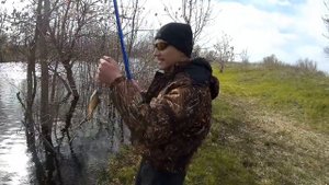 РЫБАЛКА НА ВОЛГО-АХТУБИНСКОЙ ПОЙМЕ!