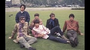 The Turtles - You Showed Me
