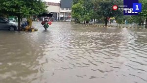 В Пакистане из-за сильного проливного дождя погибли 7 человек