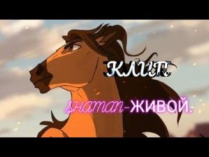 Клип Спирит SHAMAN-ЖИВОЙ.