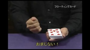 Летающая карта