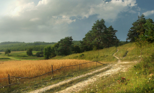 ПРЕДСКАЗАНИЕ….РОССИЯ 2024…ЧАСТЬ 2…