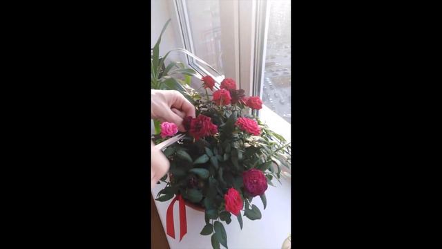 Реверс 2. Обратное видео.Awesome reversed video!