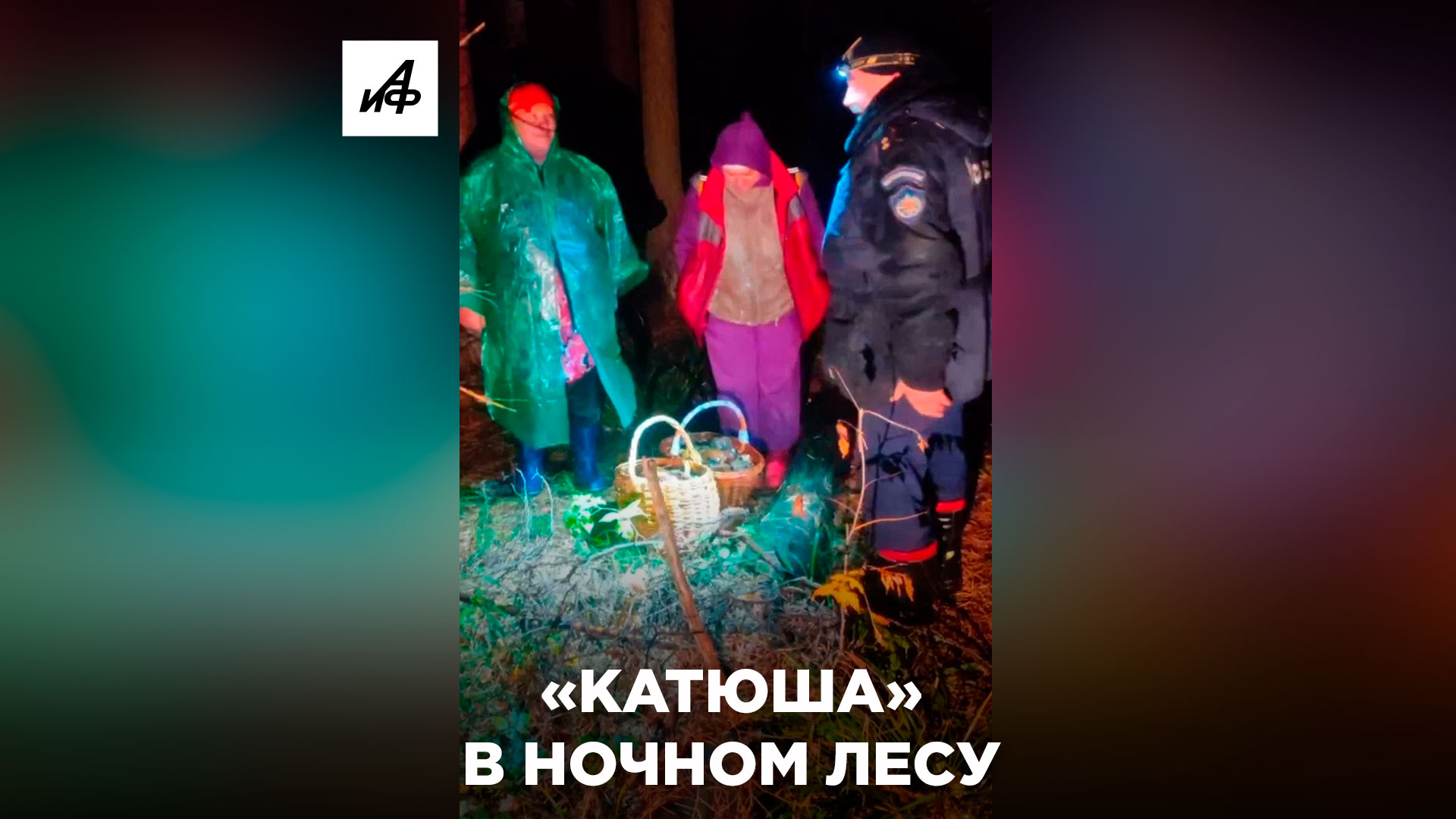 Пенсионерки спели «Катюшу», чтобы их нашли в лесу
