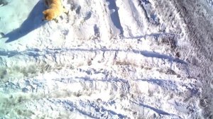 ZLL SG-907 MAX.  Учимся летать - 2