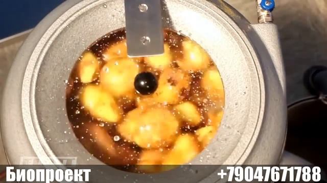 Чистка КАРТОФЕЛЯ на FLOTT 20K. Биопроект. Набережные Челны смотреть онлайн