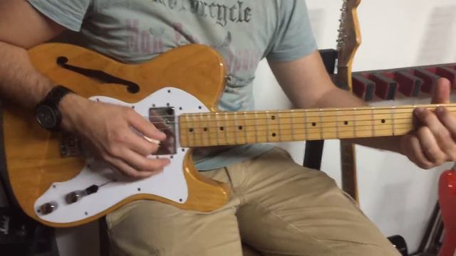 1996 Fujigen Plant Fender Telecaster Thinline TN72 Ash HH V Serial with hard case смотреть онлайн