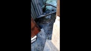 Воскопресс своими руками.