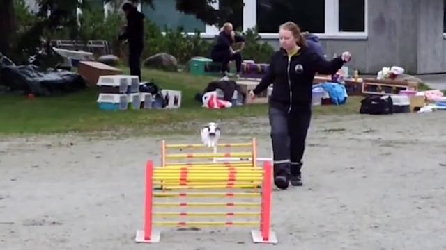 Самые безумные и необычные виды спорта | Невероятные факты