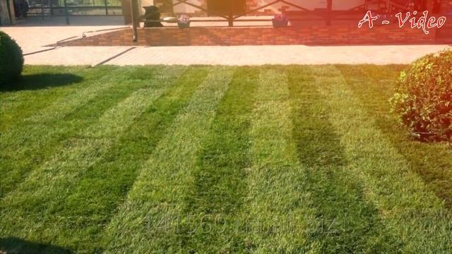 ?Творческие идеи для частного двора / Creative garden ideas / A - Video смотреть онлайн