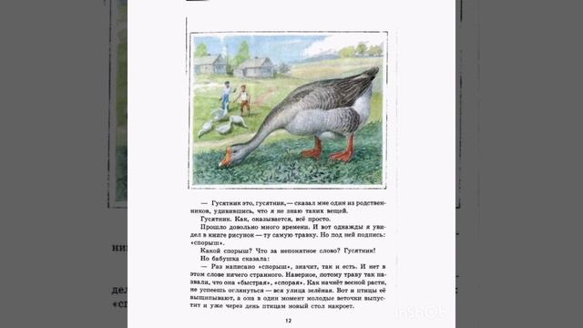 Птичья гречишка. Зелёные страницы. #окружающиймир