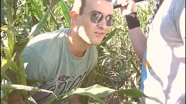 Когда решил набрать вкусной кукурузы с чужого поля смотреть онлайн