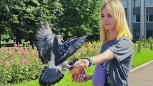 Орлята и голуби.mp4