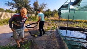 Отличный прирост форели на кильке! Летний пруд пуст. Пересадили форель и осетров в УЗВ.