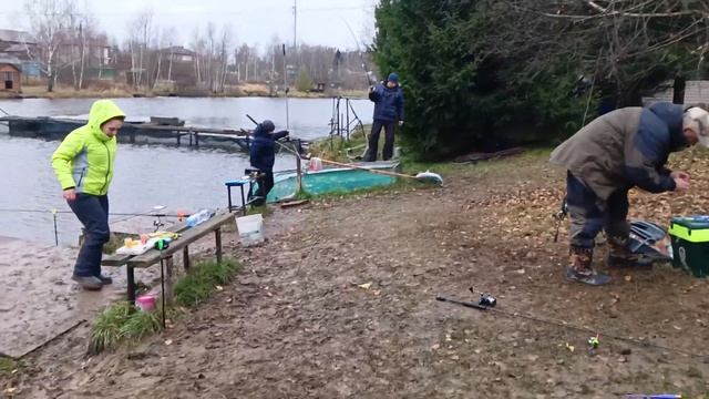 Светлые Горы Форель 16.05.11.23 смотреть онлайн