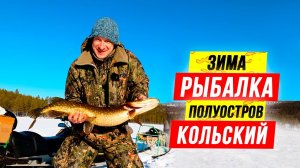 Охладись! Зимняя ❄️ РЫБАЛКА ❄️ на Кольском полуострове. Ловля ЩУКИ на жерлицы.