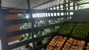 КУБАНСКАЯ ЯРМАРКА НА ТРАССЕ М4 ДОН ИЮЛЬ 2022