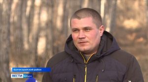 В Крыму начался сбор урожая шишек