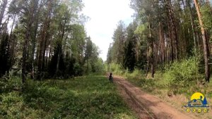На велике по бездорожью