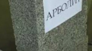 Из чего лучше строить дом - подробный обзор материалов