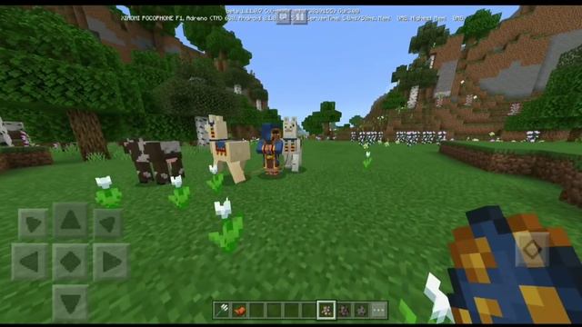 РАБОЧИЙ ИНДИКАТОР ЗДОРОВЬЯ ДЛЯ МОБОВ для Minecraft PE 1.11.0.7 - 1.10! СКАЧАТЬ СЕЙЧАС БЕСПЛАТНО! смотреть онлайн