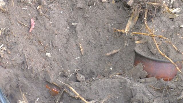 MEGA PROFIT 2021! GOLD RAIN! FOUND TREASURES IN TWO POTS! смотреть онлайн