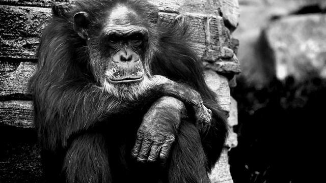 Мне 30 смотреть онлайн