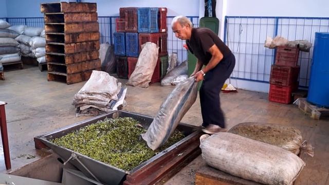 Как делают оливковое масло Extra Virgin по органик стандартам?