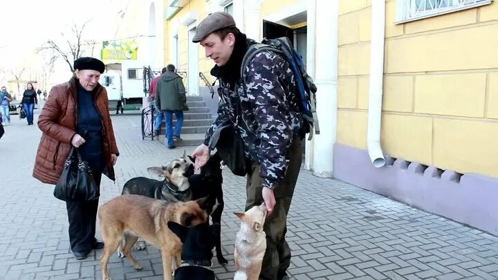 ЛУЧШИЕ СОБАКИ В России - пионеры приюта Верность♥ ГЛАВНЫЕ ВЕРНОВЦЫ