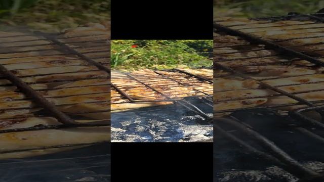девочки жарят шашлычок