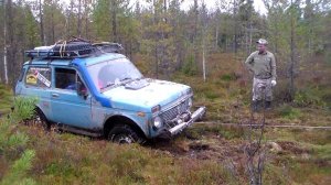 На ниве через болотце в Карелии