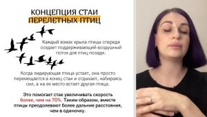 Правила мастермайнда. Как провести мастермайнд? Технология и формат встреч онлайн.