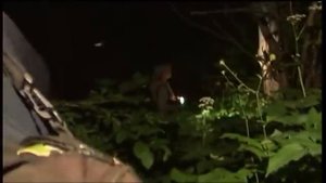 РУССКИЙ СТОУНХЕНДЖ В САМОМ ЦЕНТРЕ РОССИИ ДРЕВНЕЕ АНГЛИЙСКОГО?!
