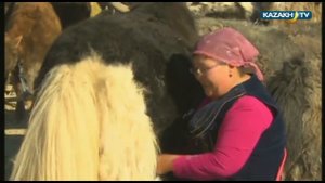 Казахи в Монголии