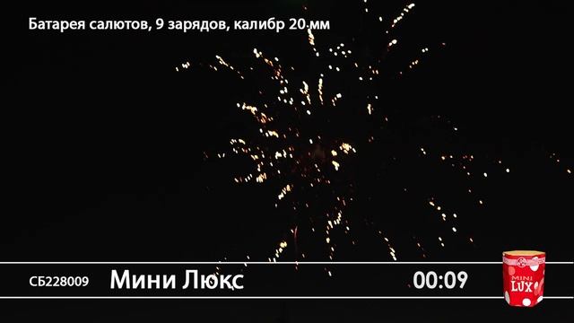 СБ228009 Мини Люкс